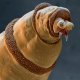 Image for article titled Photos of the Amazing and Gruesome World Under a Microscope